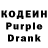 Кодеин Purple Drank Berkut Erkebulan