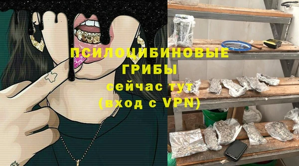 прущие грибы Лиски