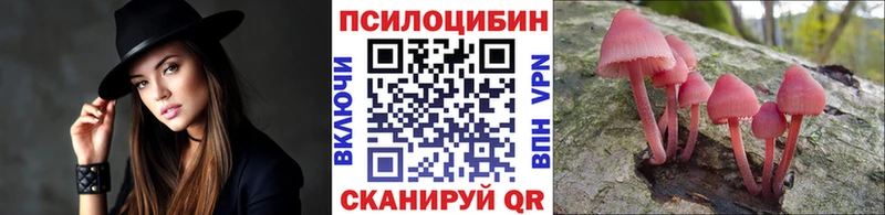 Псилоцибиновые грибы Psilocybine cubensis  наркотики  Ковдор 