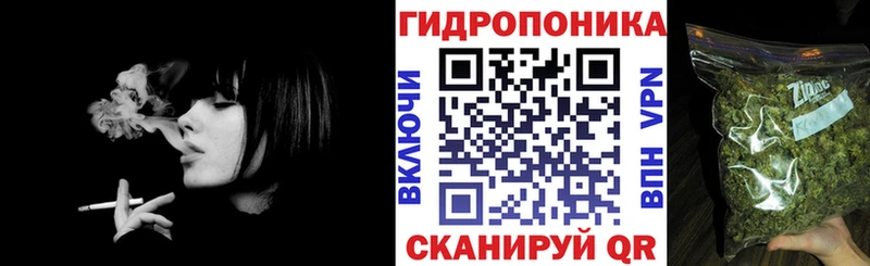 Бошки Шишки VHQ Ковдор